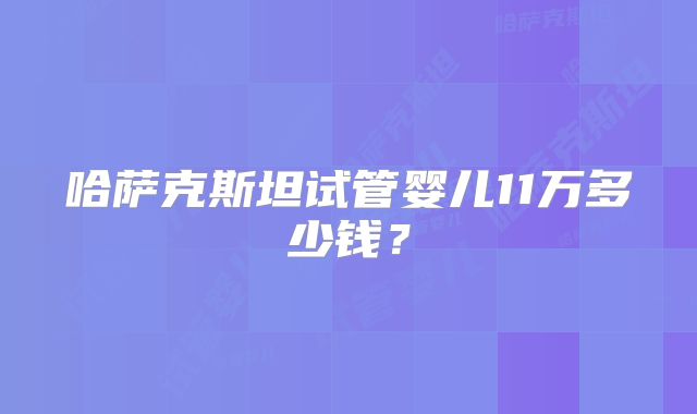 哈萨克斯坦试管婴儿11万多少钱?
