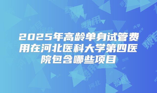 2025年高龄单身试管费用在河北医科大学第四医院包含哪些项目