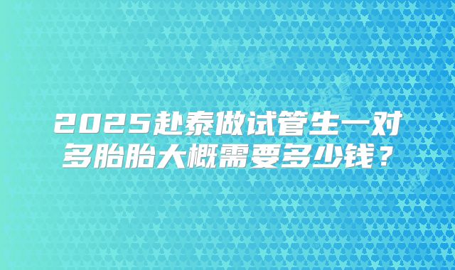 2025赴泰做试管生一对多胎胎大概需要多少钱？