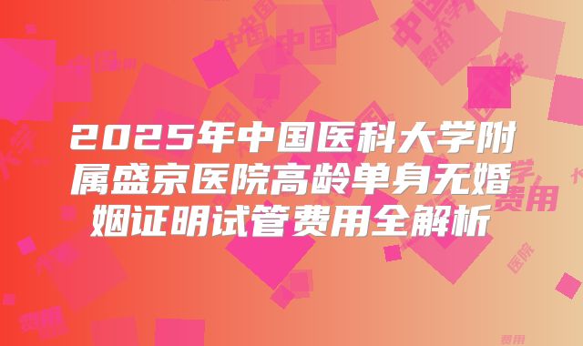 2025年中国医科大学附属盛京医院高龄单身无婚姻证明试管费用全解析
