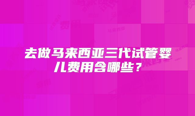 去做马来西亚三代试管婴儿费用含哪些?