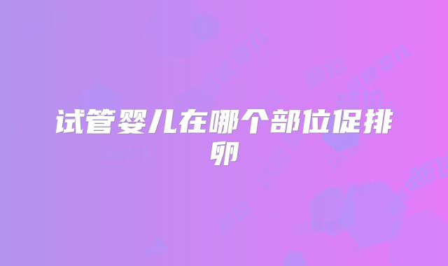试管婴儿在哪个部位促排卵
