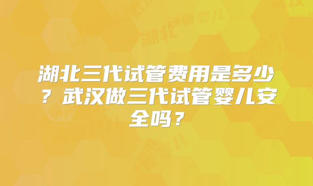 湖北三代试管费用是多少?武汉做三代试管婴儿安全吗?