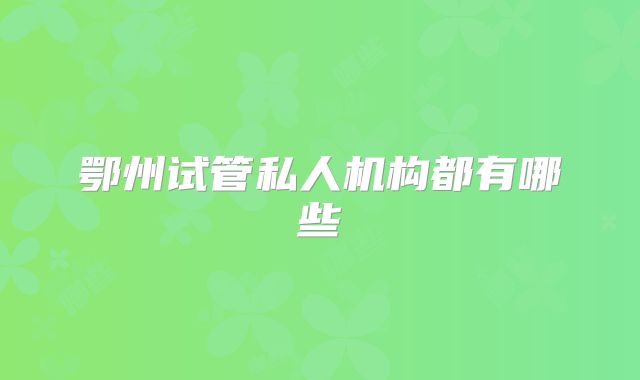 鄂州试管私人机构都有哪些