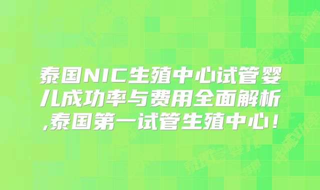 泰国NIC生殖中心试管婴儿成功率与费用全面解析,泰国第一试管生殖中心!