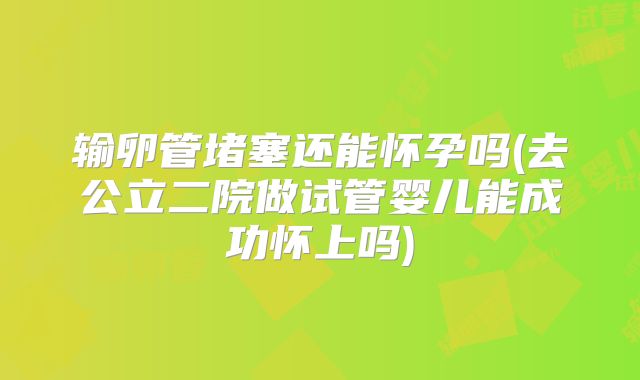 输卵管堵塞还能怀孕吗(去公立二院做试管婴儿能成功怀上吗)