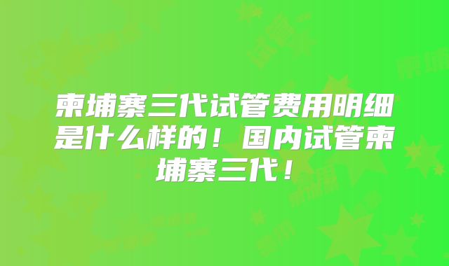 柬埔寨三代试管费用明细是什么样的!国内试管柬埔寨三代!