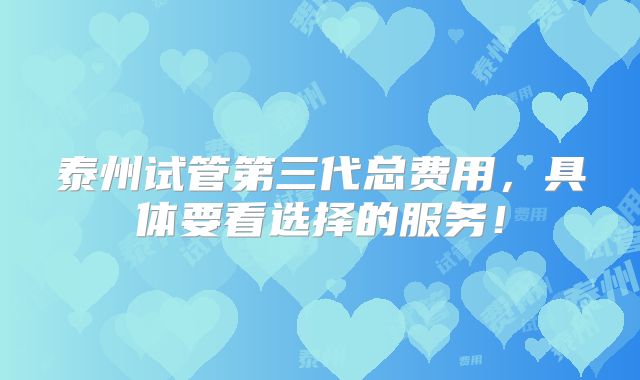 泰州试管第三代总费用,具体要看选择的服务!