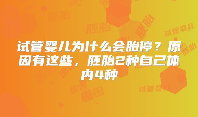 试管婴儿为什么会胎停?原因有这些,胚胎2种自己体内4种