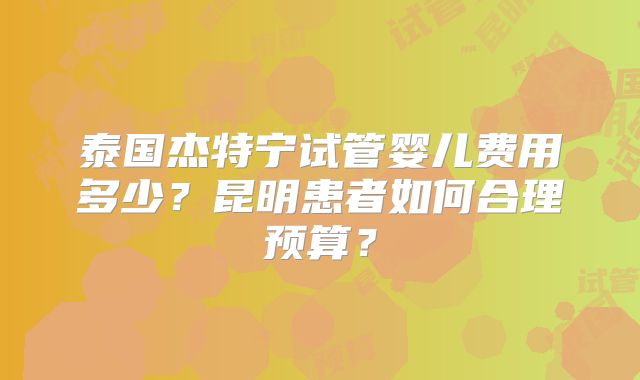 泰国杰特宁试管婴儿费用多少?昆明患者如何合理预算?