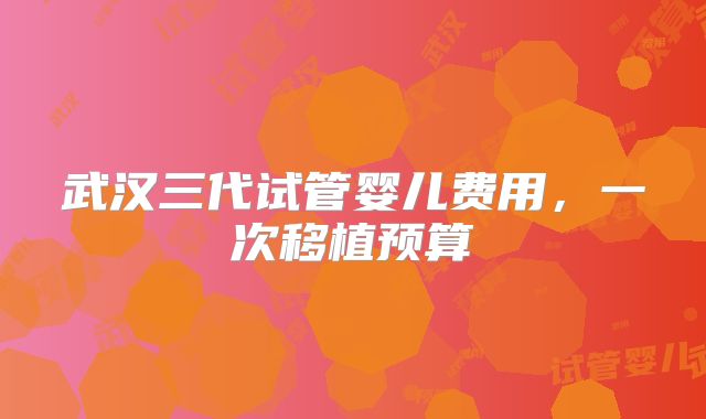 武汉三代试管婴儿费用,一次移植预算