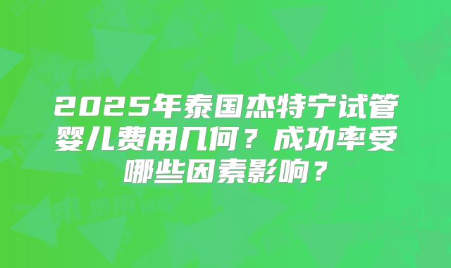 2025年泰国杰特宁试管婴儿费用几何？成功率受哪些因素影响？