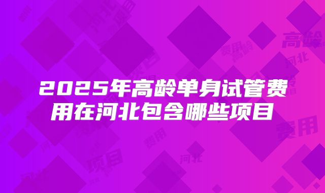 2025年高龄单身试管费用在河北包含哪些项目