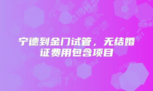 宁德到金门试管，无结婚证费用包含项目