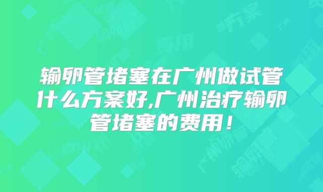 输卵管堵塞在广州做试管什么方案好,广州治疗输卵管堵塞的费用！