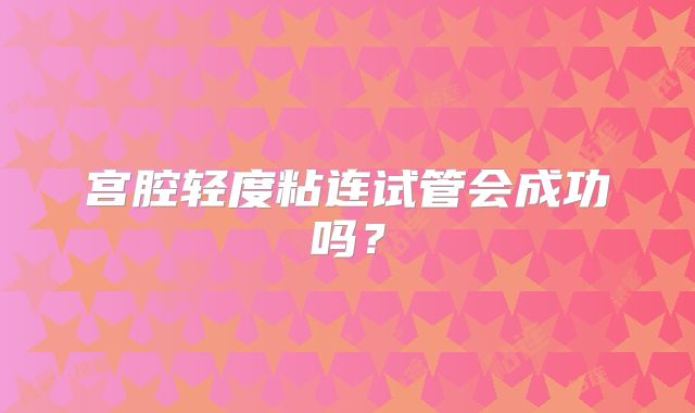 宫腔轻度粘连试管会成功吗?