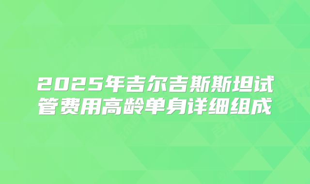 2025年吉尔吉斯斯坦试管费用高龄单身详细组成