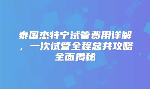 泰国杰特宁试管费用详解，一次试管全程总共攻略全面揭秘