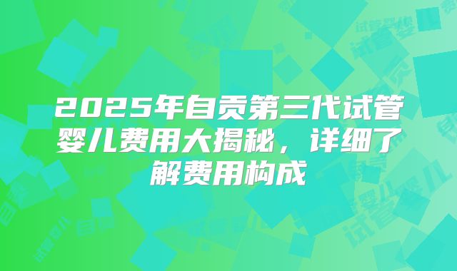 2025年自贡第三代试管婴儿费用大揭秘,详细了解费用构成
