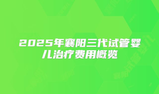 2025年襄阳三代试管婴儿治疗费用概览
