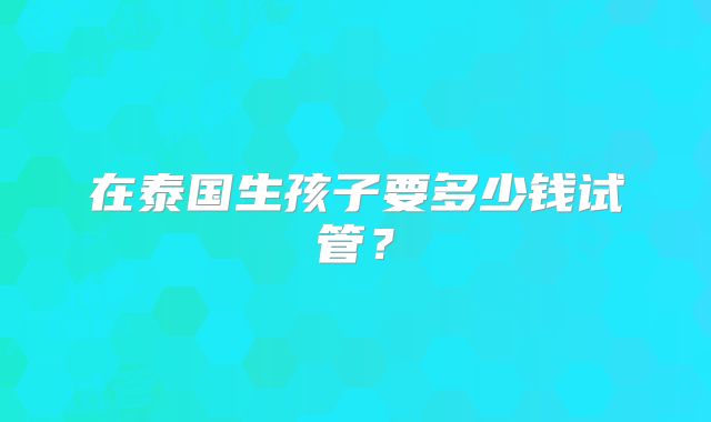 在泰国生孩子要多少钱试管?