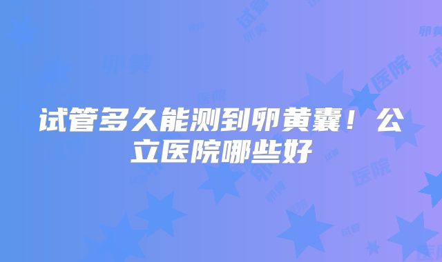 试管多久能测到卵黄囊！公立医院哪些好