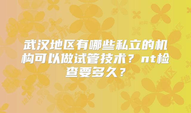 武汉地区有哪些私立的机构可以做试管技术?nt检查要多久?