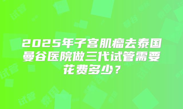 2025年子宫肌瘤去泰国曼谷医院做三代试管需要花费多少?