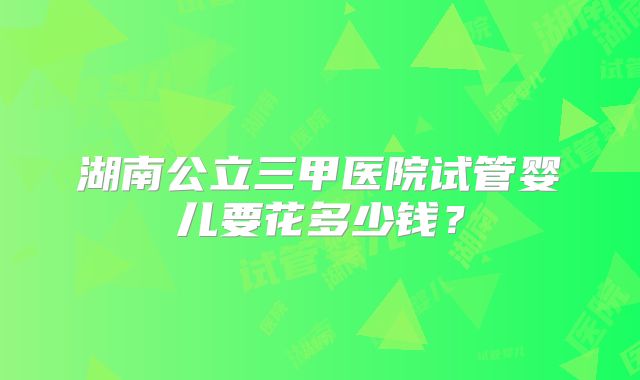 湖南公立三甲医院试管婴儿要花多少钱?