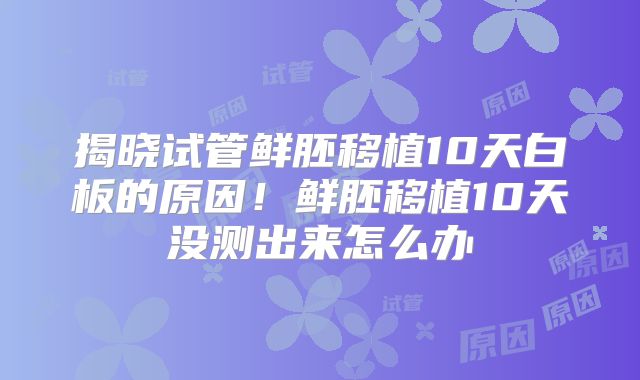 揭晓试管鲜胚移植10天白板的原因！鲜胚移植10天没测出来怎么办