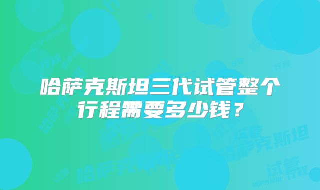 哈萨克斯坦三代试管整个行程需要多少钱?