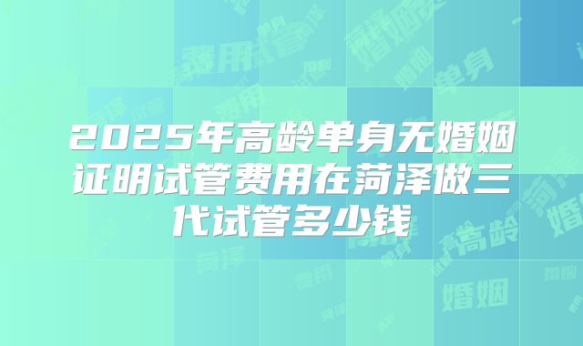 2025年高龄单身无婚姻证明试管费用在菏泽做三代试管多少钱