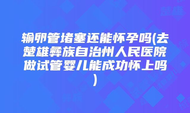 输卵管堵塞还能怀孕吗(去楚雄彝族自治州人民医院做试管婴儿能成功怀上吗)