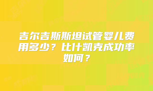 吉尔吉斯斯坦试管婴儿费用多少?比什凯克成功率如何?