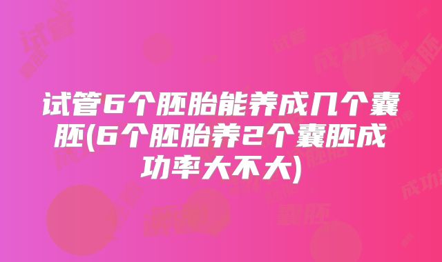 试管6个胚胎能养成几个囊胚(6个胚胎养2个囊胚成功率大不大)
