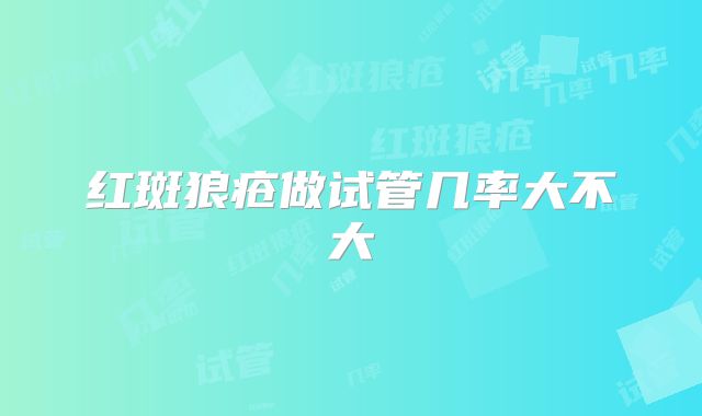 红斑狼疮做试管几率大不大