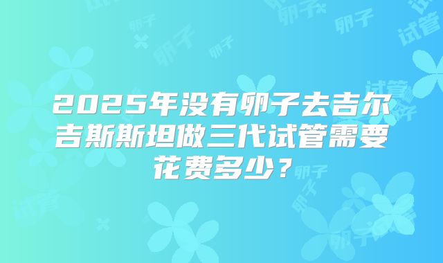 2025年没有卵子去吉尔吉斯斯坦做三代试管需要花费多少？