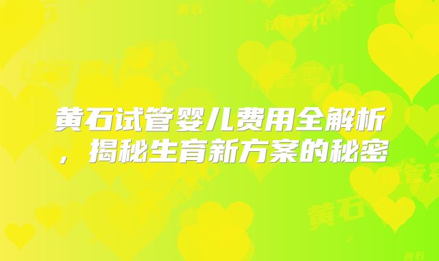 黄石试管婴儿费用全解析,揭秘生育新方案的秘密