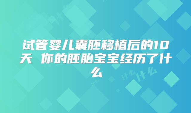 试管婴儿囊胚移植后的10天 你的胚胎宝宝经历了什么
