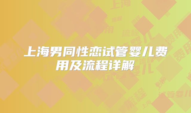 上海男同性恋试管婴儿费用及流程详解