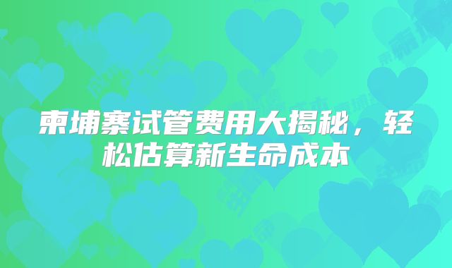 柬埔寨试管费用大揭秘，轻松估算新生命成本