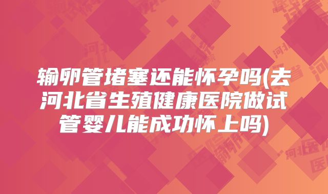 输卵管堵塞还能怀孕吗(去河北省生殖健康医院做试管婴儿能成功怀上吗)