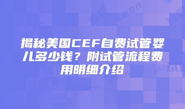 揭秘美国CEF自费试管婴儿多少钱?附试管流程费用明细介绍