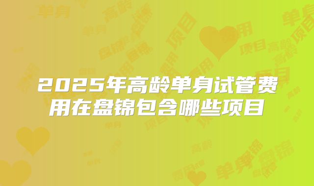 2025年高龄单身试管费用在盘锦包含哪些项目