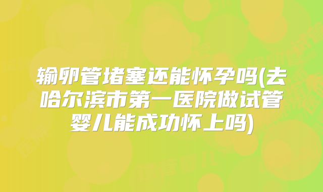 输卵管堵塞还能怀孕吗(去哈尔滨市第一医院做试管婴儿能成功怀上吗)