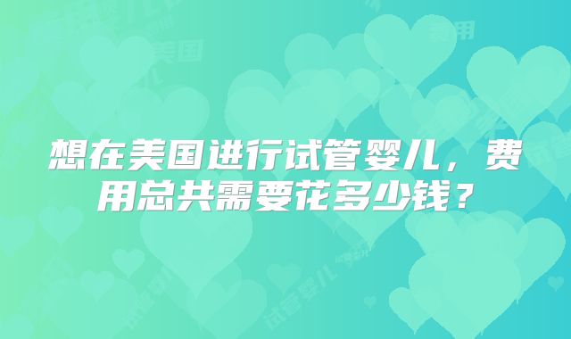 想在美国进行试管婴儿，费用总共需要花多少钱？