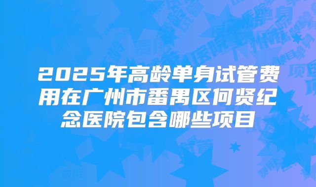 2025年高龄单身试管费用在广州市番禺区何贤纪念医院包含哪些项目