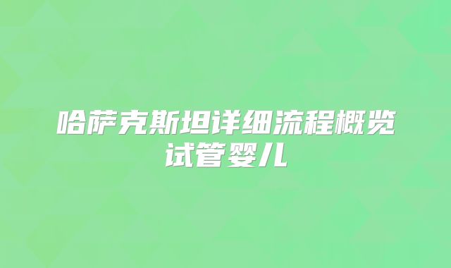 哈萨克斯坦详细流程概览试管婴儿