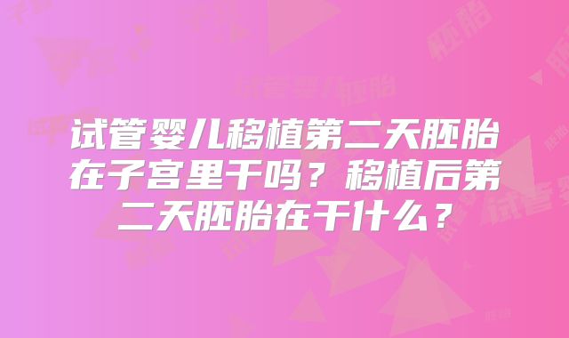 试管婴儿移植第二天胚胎在子宫里干吗？移植后第二天胚胎在干什么？
