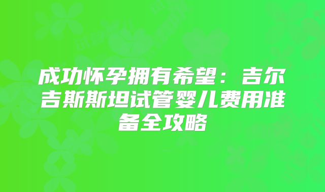 成功怀孕拥有希望：吉尔吉斯斯坦试管婴儿费用准备全攻略